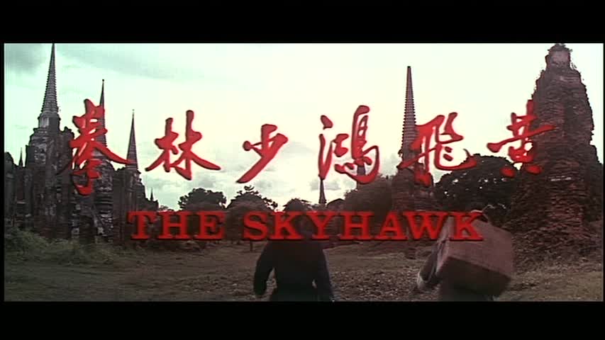The Skyhawk